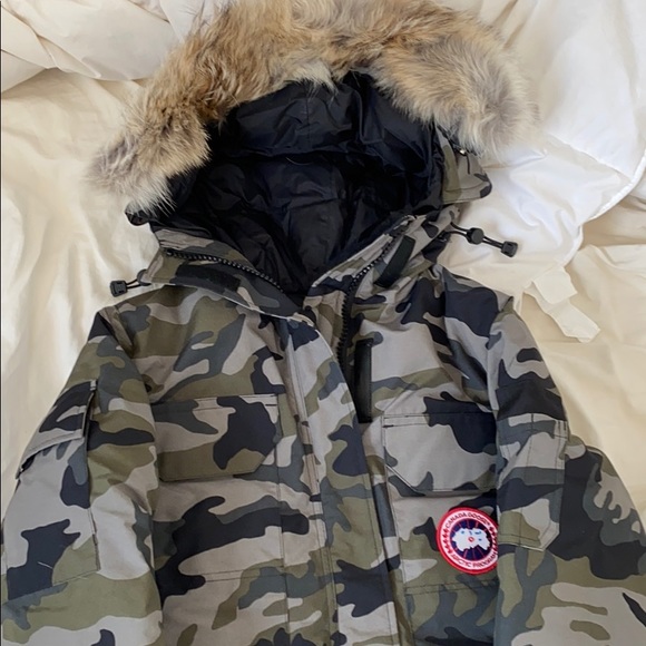 Canada goose